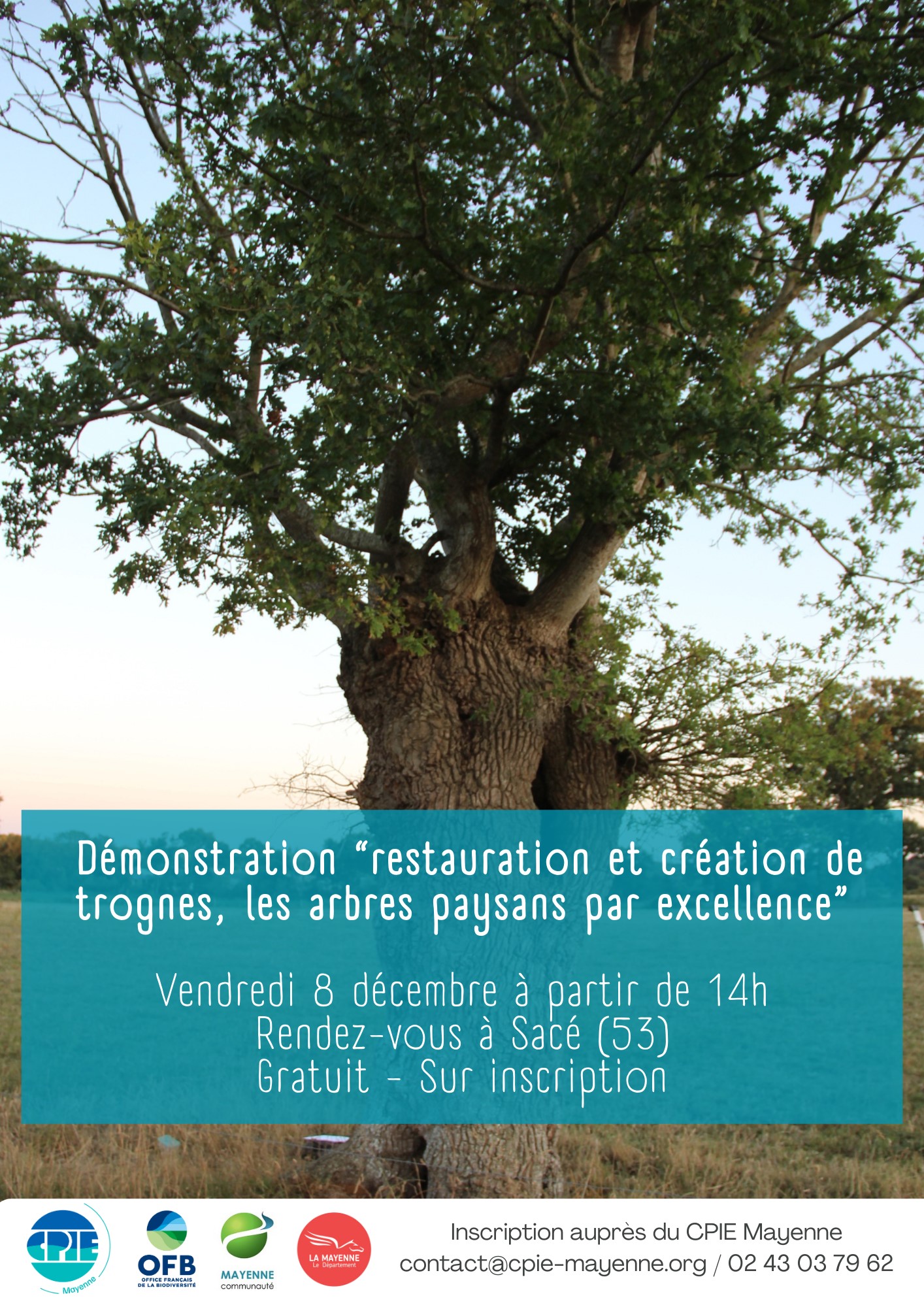 Démonstration et création arbres têtards @ SACE